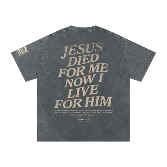 His Flock : Jesus Died (Snow Washed)