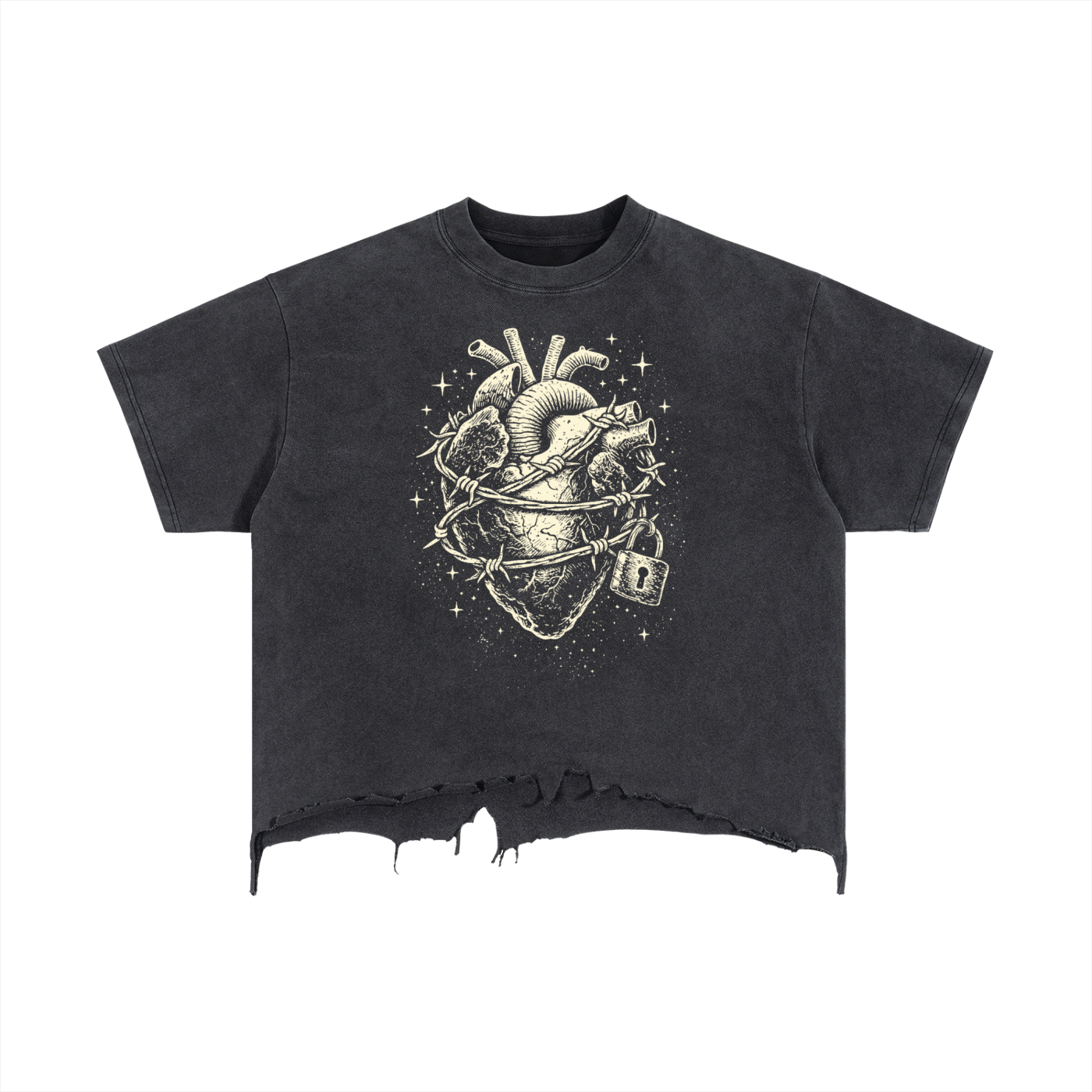 His Flock - Guard Your Heart VD